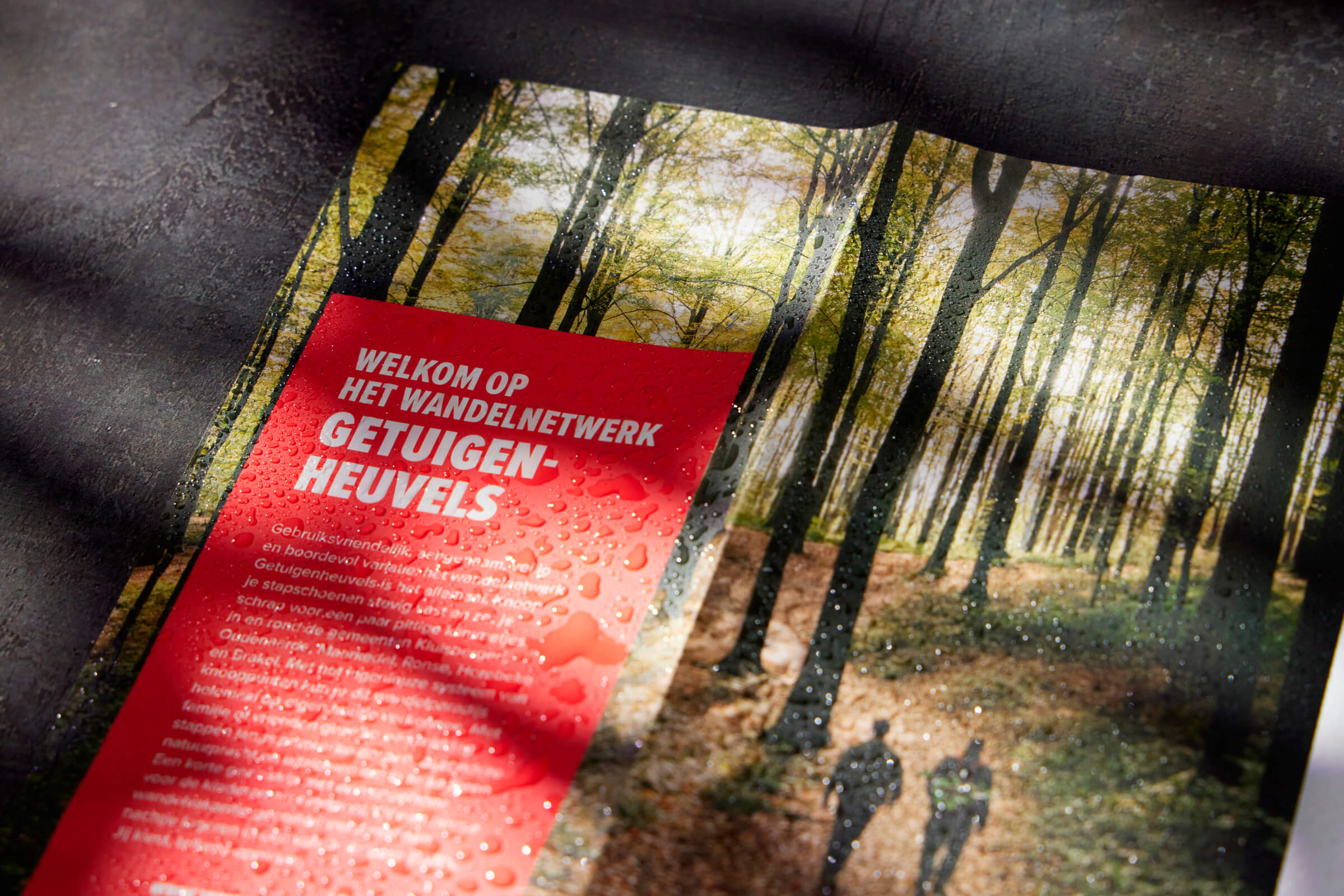 Voor de provincie Oost-Vlaanderen drukten we deze wandelroute kaarten op waterbestendig papier, gemaakt van steen.